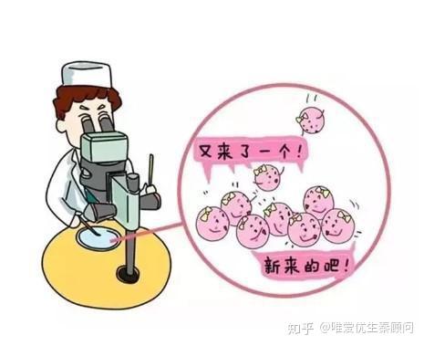 人工受孕