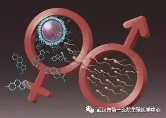 人工助孕