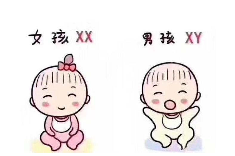 人工受精代孕
