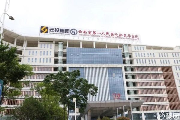 人工代孕合法