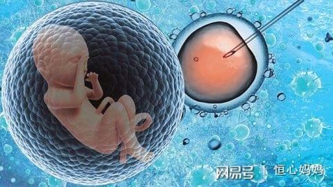 亲子鉴定费用