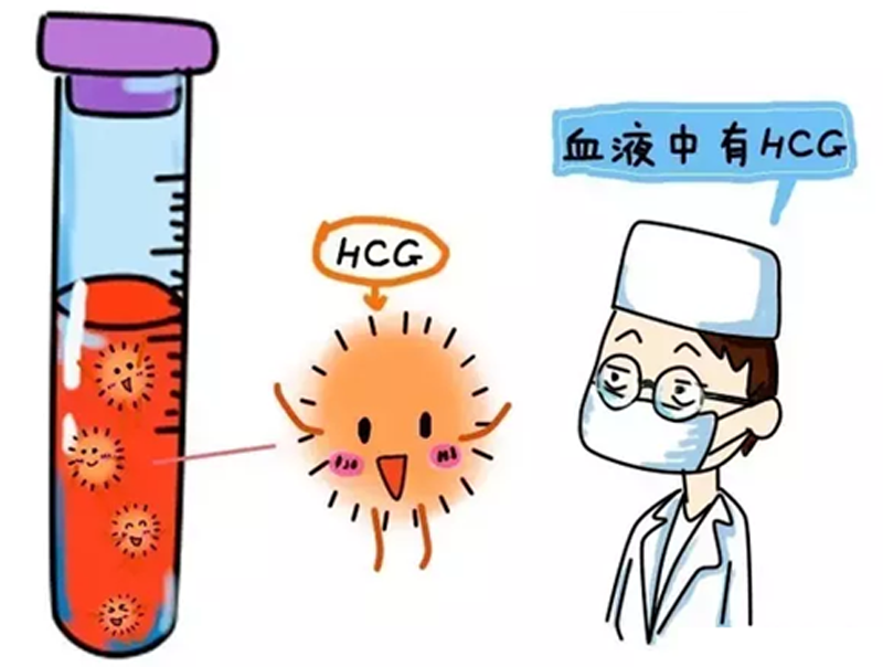 人工授精需要