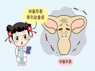 人工授精手术