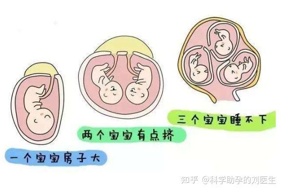亲子鉴定费用