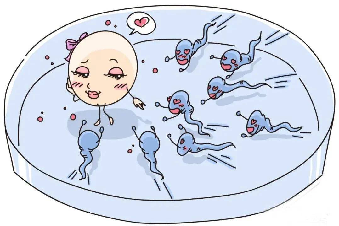 人工授精