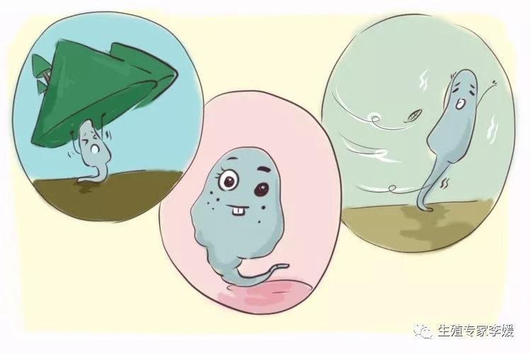 人工授精代孕
