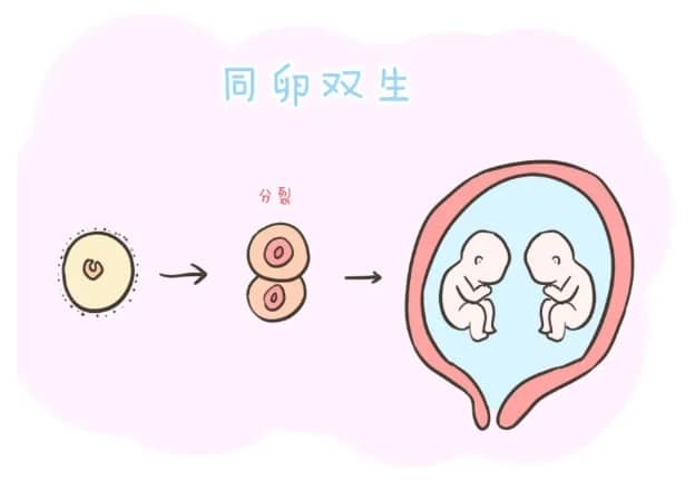 亲子鉴定费用